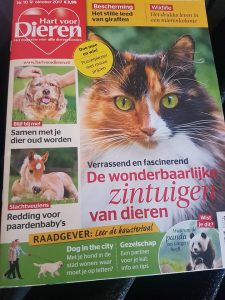 hondenwandeling-verslag-ndjoy-hulp-honden-baasjes-magazine-hart-voor-dieren