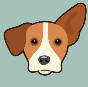 ndjoy-nieuwe-logo4-hulp-honden-baasjes-cuijk-boxmeer-vol-trots-presenteren-wij-de-nieuwe-huisstijl