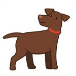 ndjoy-nieuwe-logo5-hulp-honden-baasjes-cuijk-boxmeer